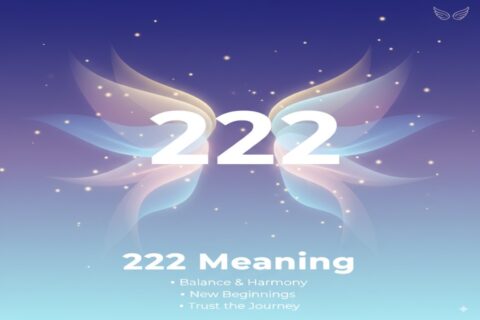 Understanding the Meaning of Angel Number 222 - DreamWakers