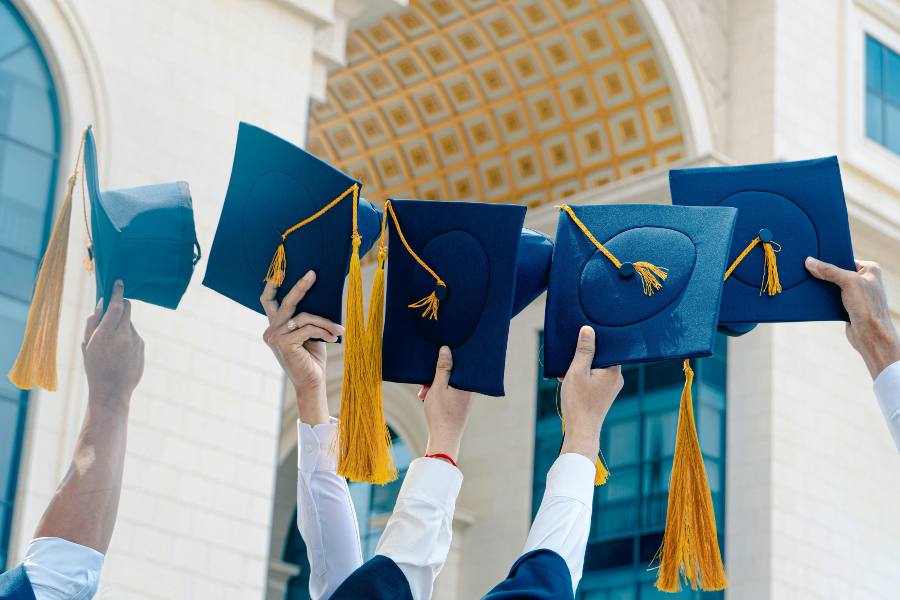 MPH Degree
