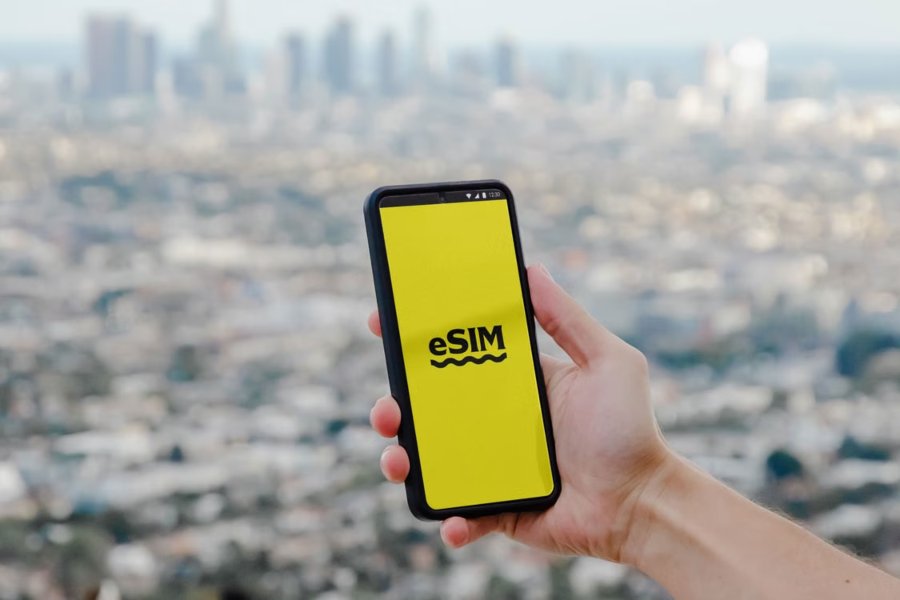 how does esim work